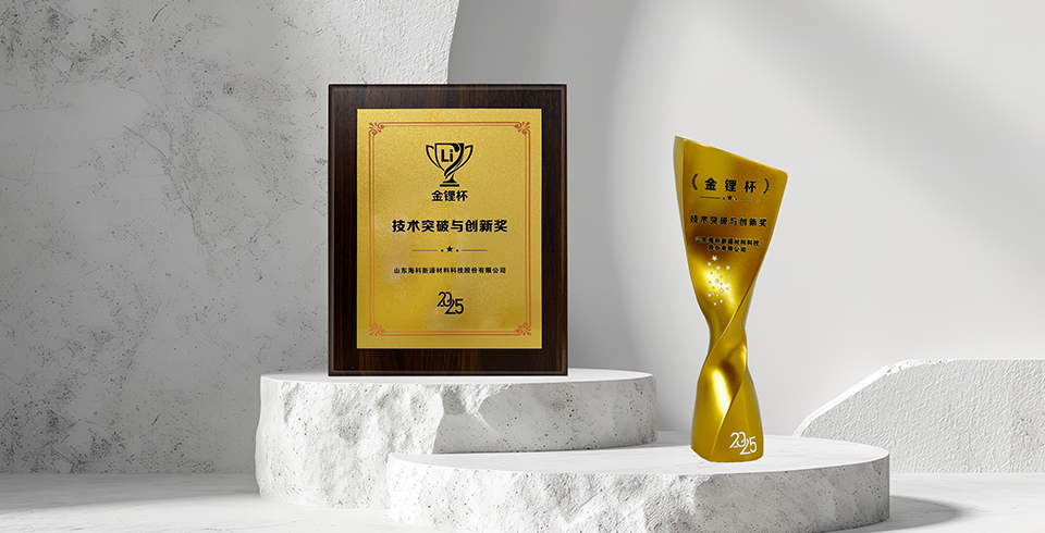 喜报 | 华体会平台-华体会(中国)一站式服务平台荣获真锂研究“技术突破与创新奖”
